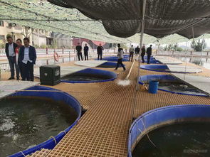 江西省农业农村厅 发展特色水产 由水产大区向水产强区迈进